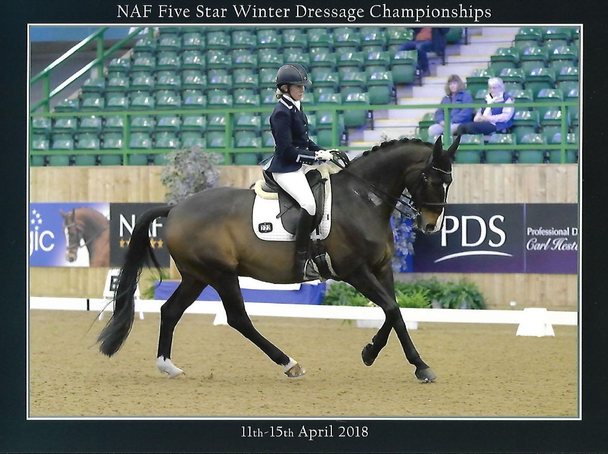 NAF 5 Star Winter Dressage Champions 2018