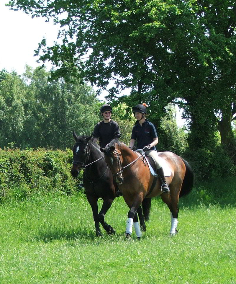 Cross Country Coaching by Juliet Penwarden